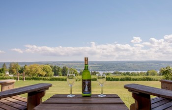 view from inn room, two brown adirondack chairs, with a table in between with two wine glasses and a bottle. view of vineyard, lake, and sky.