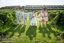 Bride, groom, and their wedding party in the vineyard, with the Inn at Glenora in the background.